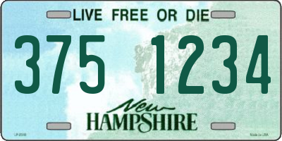 NH license plate 3751234