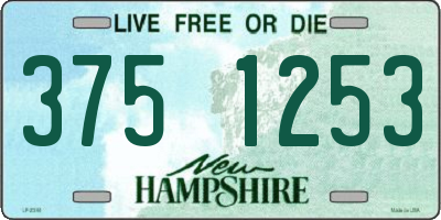 NH license plate 3751253