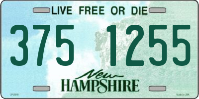 NH license plate 3751255