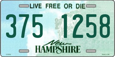NH license plate 3751258