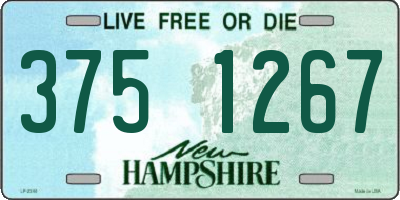NH license plate 3751267