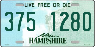 NH license plate 3751280