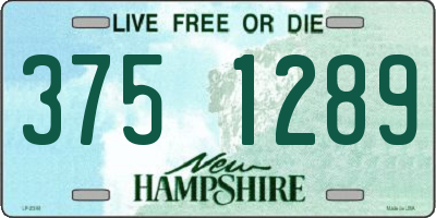 NH license plate 3751289