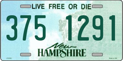 NH license plate 3751291