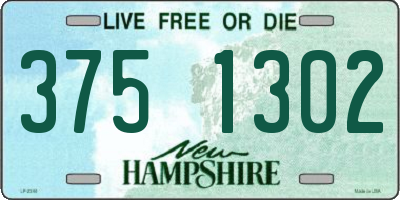 NH license plate 3751302