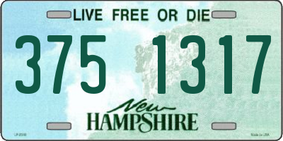 NH license plate 3751317