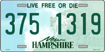 NH license plate 3751319