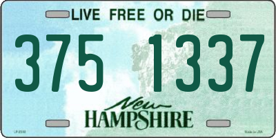 NH license plate 3751337