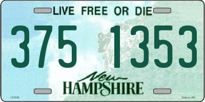 NH license plate 3751353