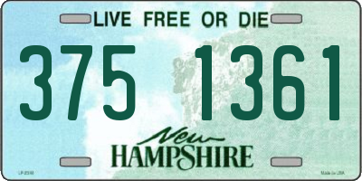 NH license plate 3751361