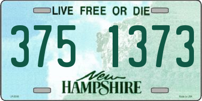 NH license plate 3751373