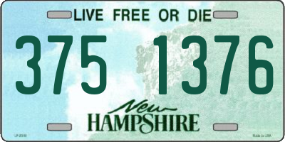 NH license plate 3751376
