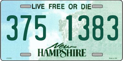 NH license plate 3751383