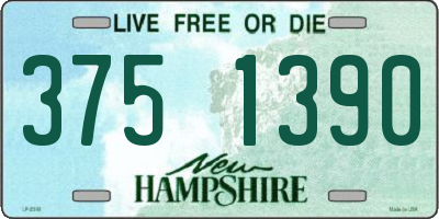 NH license plate 3751390