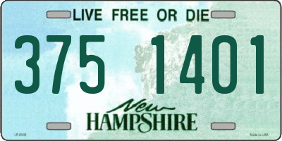 NH license plate 3751401