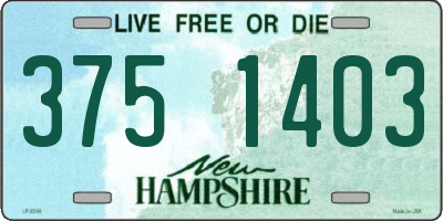 NH license plate 3751403