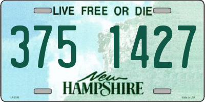 NH license plate 3751427