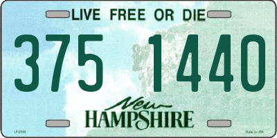 NH license plate 3751440