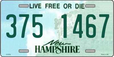 NH license plate 3751467