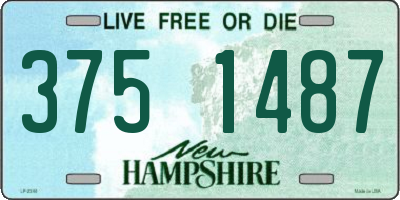 NH license plate 3751487