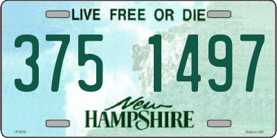NH license plate 3751497