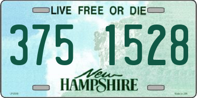 NH license plate 3751528
