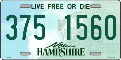 NH license plate 3751560