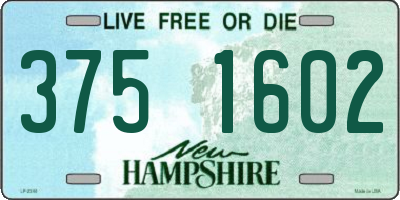 NH license plate 3751602