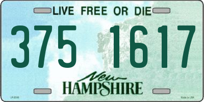 NH license plate 3751617