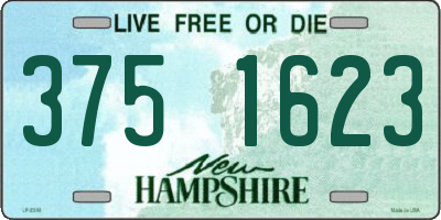 NH license plate 3751623