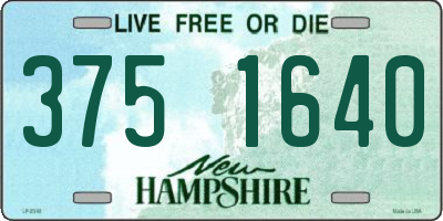 NH license plate 3751640