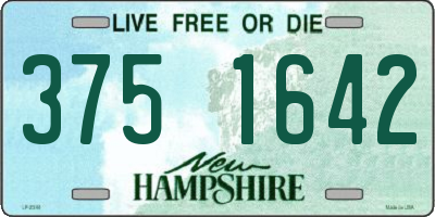 NH license plate 3751642