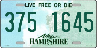 NH license plate 3751645