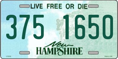 NH license plate 3751650