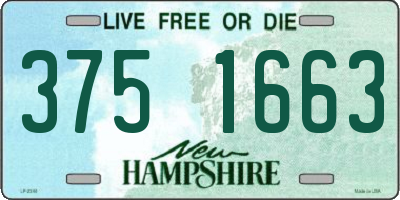 NH license plate 3751663