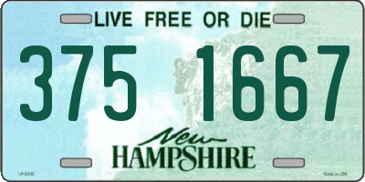 NH license plate 3751667