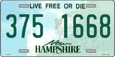 NH license plate 3751668