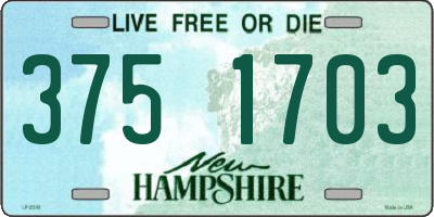 NH license plate 3751703