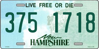 NH license plate 3751718