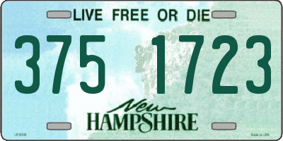 NH license plate 3751723