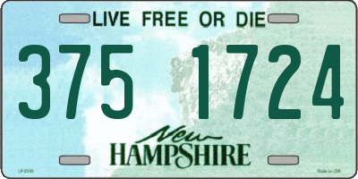 NH license plate 3751724
