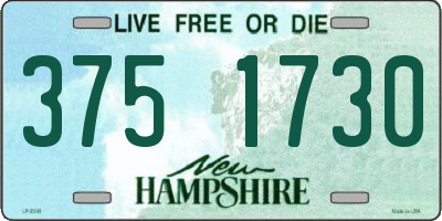 NH license plate 3751730