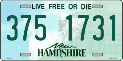 NH license plate 3751731