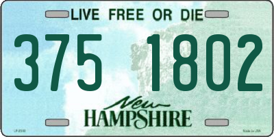 NH license plate 3751802