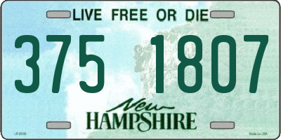 NH license plate 3751807