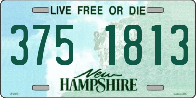 NH license plate 3751813