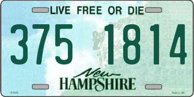 NH license plate 3751814