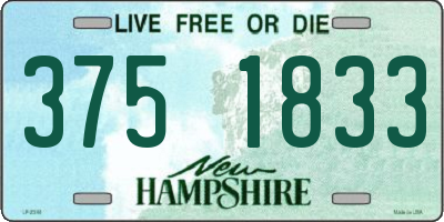 NH license plate 3751833