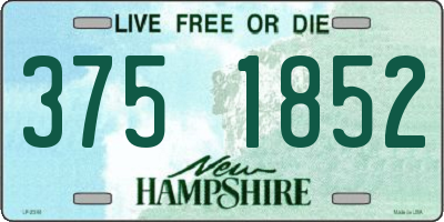 NH license plate 3751852