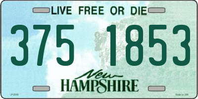 NH license plate 3751853